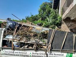 Professional Junk Removal in Stanley, NC